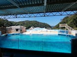 下田海中水族館に投稿された画像（2023/9/2）