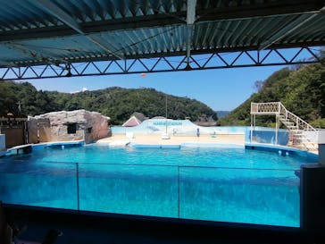 下田海中水族館に投稿された画像（2023/9/2）