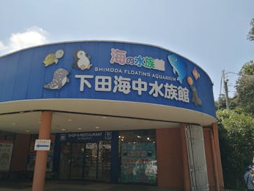 下田海中水族館に投稿された画像（2023/9/2）