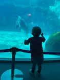 名古屋港水族館に投稿された画像（2023/9/2）