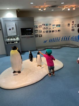 名古屋港水族館に投稿された画像（2023/9/2）