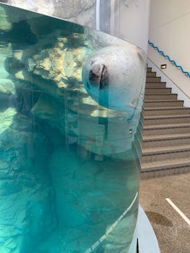 京都鉄道博物館×京都水族館に投稿された画像（2023/9/2）