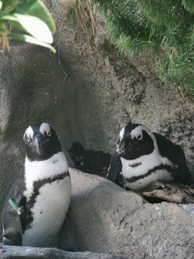 サンシャイン水族館に投稿された画像（2023/9/2）
