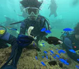 武藤潜水に投稿された画像（2023/9/2）