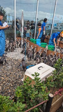 上越市立水族博物館 うみがたりに投稿された画像（2023/9/2）