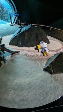 上越市立水族博物館 うみがたりに投稿された画像（2023/9/2）