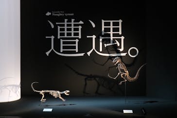 DinoScience 恐竜科学博 2023@TOKYO MIDTOWNに投稿された画像（2023/9/2）