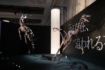 DinoScience 恐竜科学博 2023@TOKYO MIDTOWNに投稿された画像（2023/9/2）