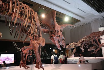 DinoScience 恐竜科学博 2023@TOKYO MIDTOWNに投稿された画像（2023/9/2）