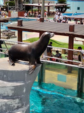 南知多ビーチランド＆南知多おもちゃ王国に投稿された画像（2023/9/2）