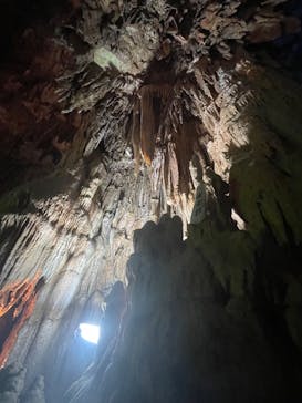 あぶくま洞に投稿された画像（2023/9/2）