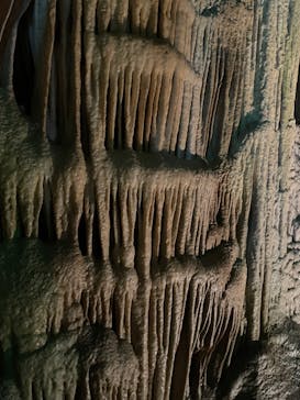 あぶくま洞に投稿された画像（2023/9/2）