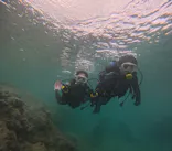 武藤潜水に投稿された画像（2023/9/2）