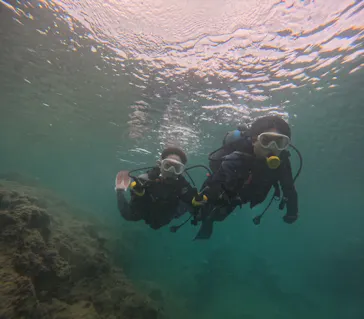 武藤潜水に投稿された画像（2023/9/2）