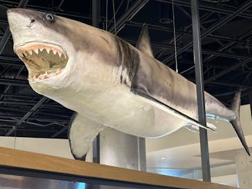 アクアワールド茨城県大洗水族館に投稿された画像（2023/9/2）