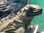 サンシャイン水族館に投稿された画像（2023/9/2）