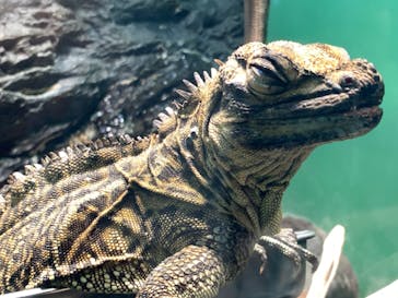 サンシャイン水族館に投稿された画像（2023/9/2）