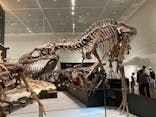 大阪市立自然史博物館に投稿された画像（2023/9/2）
