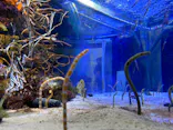 名古屋港水族館に投稿された画像（2023/9/2）