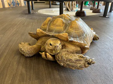 横浜・八景島シーパラダイスに投稿された画像（2023/9/2）