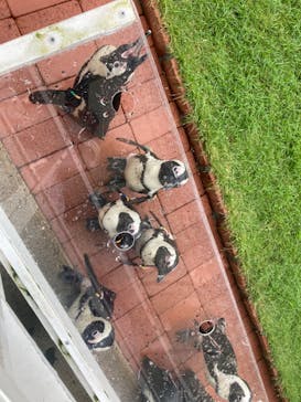 マリンワールド海の中道に投稿された画像（2023/9/2）