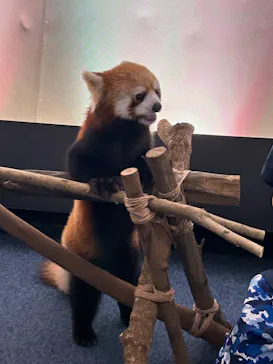 横浜・八景島シーパラダイスに投稿された画像（2023/9/2）