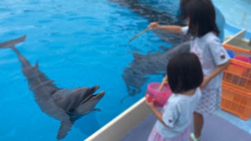 マリンワールド海の中道に投稿された画像（2023/9/2）