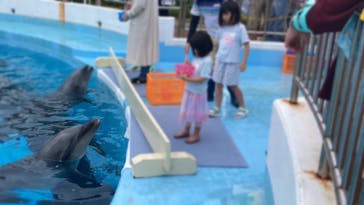 マリンワールド海の中道に投稿された画像（2023/9/2）