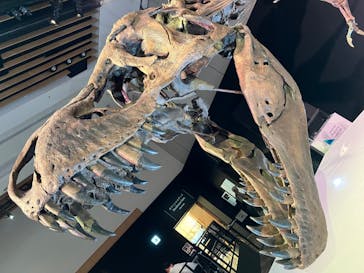 DinoScience 恐竜科学博 2023@TOKYO MIDTOWNに投稿された画像（2023/9/2）