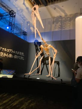 DinoScience 恐竜科学博 2023@TOKYO MIDTOWNに投稿された画像（2023/9/2）