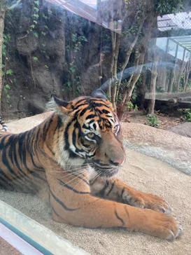 神戸どうぶつ王国に投稿された画像（2023/9/2）