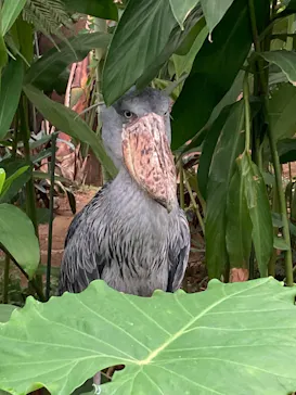神戸どうぶつ王国に投稿された画像（2023/9/2）