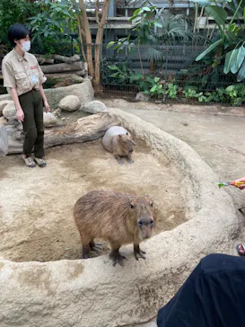 神戸どうぶつ王国に投稿された画像（2023/9/2）
