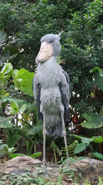 神戸どうぶつ王国に投稿された画像（2023/9/2）