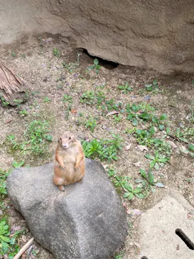 ひらかたパークに投稿された画像（2023/9/2）