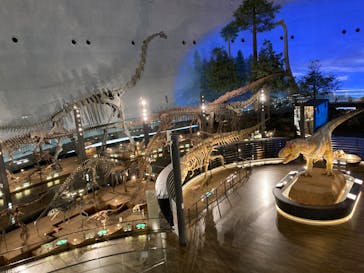 福井県立恐竜博物館に投稿された画像（2023/9/2）