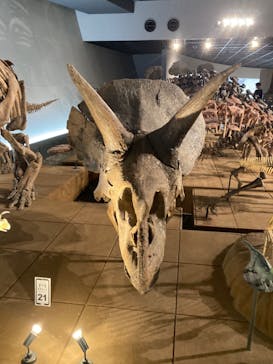 福井県立恐竜博物館に投稿された画像（2023/9/2）