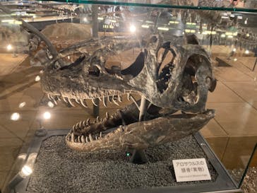 福井県立恐竜博物館に投稿された画像（2023/9/2）