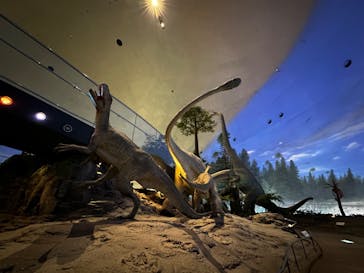 福井県立恐竜博物館に投稿された画像（2023/9/2）