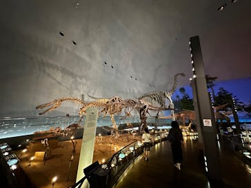 福井県立恐竜博物館に投稿された画像（2023/9/2）
