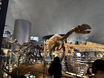 福井県立恐竜博物館に投稿された画像（2023/9/2）