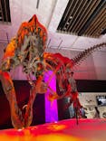 DinoScience 恐竜科学博 2023@TOKYO MIDTOWNに投稿された画像（2023/9/2）