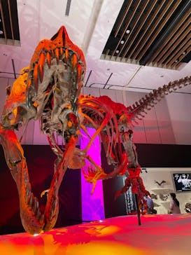 DinoScience 恐竜科学博 2023@TOKYO MIDTOWNに投稿された画像（2023/9/2）