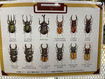 JOYPOLIS 特別イベントスペースに投稿された画像（2023/9/2）