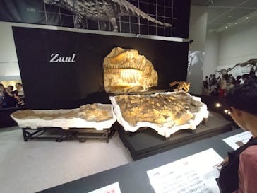 大阪市立自然史博物館に投稿された画像（2023/9/2）