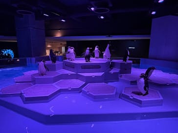 AOAO SAPPOROに投稿された画像（2023/9/2）