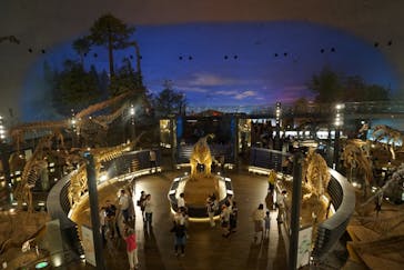 福井県立恐竜博物館に投稿された画像（2023/9/2）
