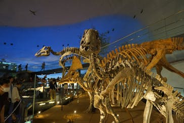 福井県立恐竜博物館に投稿された画像（2023/9/2）