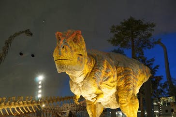 福井県立恐竜博物館に投稿された画像（2023/9/2）
