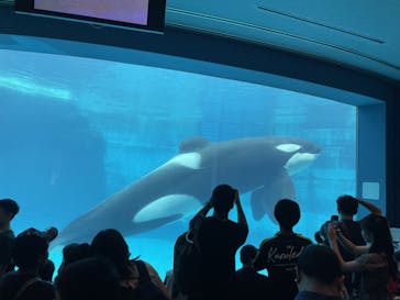 名古屋港水族館に投稿された画像（2023/9/2）